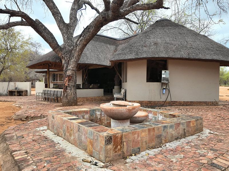 Rear view of a thatched-roof farm dwelling featuring a brick-paved patio, a stone water feature, and an outdoor built-in braai area.
