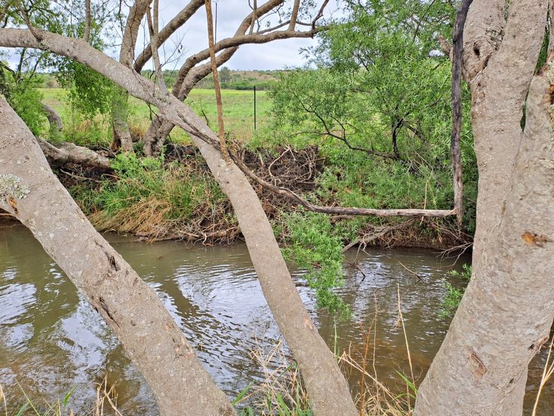 A scenic view of a natural stream flowing through the property, framed by mature trees and bordered by rural fencing.