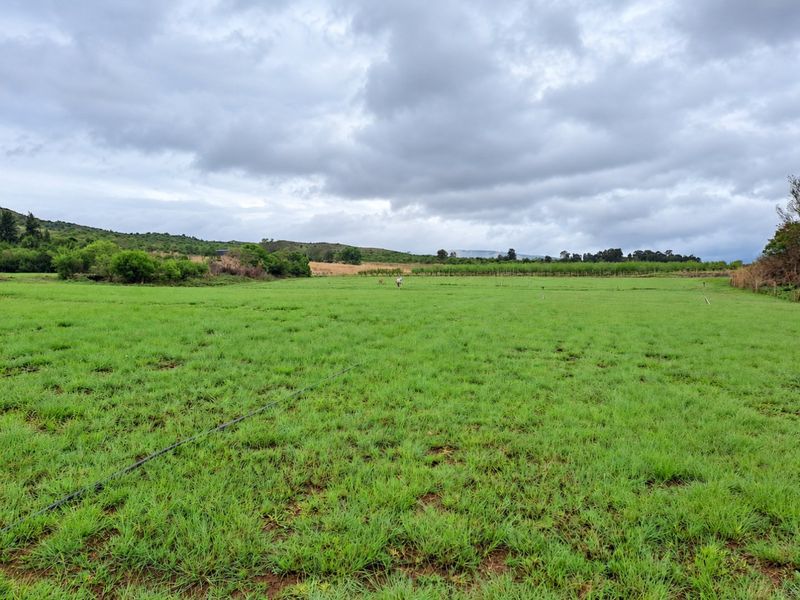 Expansive green pasture land on a farm, featuring irrigation infrastructure and perimeter fencing under a cloudy sky.