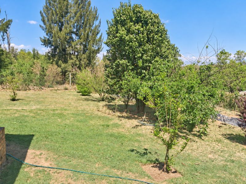 A spacious garden area featuring established trees and a grass lawn, providing a natural outdoor setting on the property.