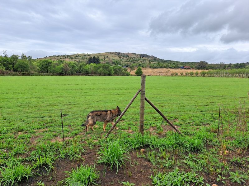 A scenic view of a green pasture on a farm, featuring wire fencing and a rural landscape with rolling hills in the background.