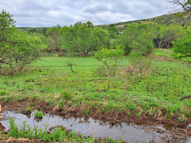 A scenic view of the farm property featuring a natural stream, open pasture land, and mature trees under a cloudy sky.