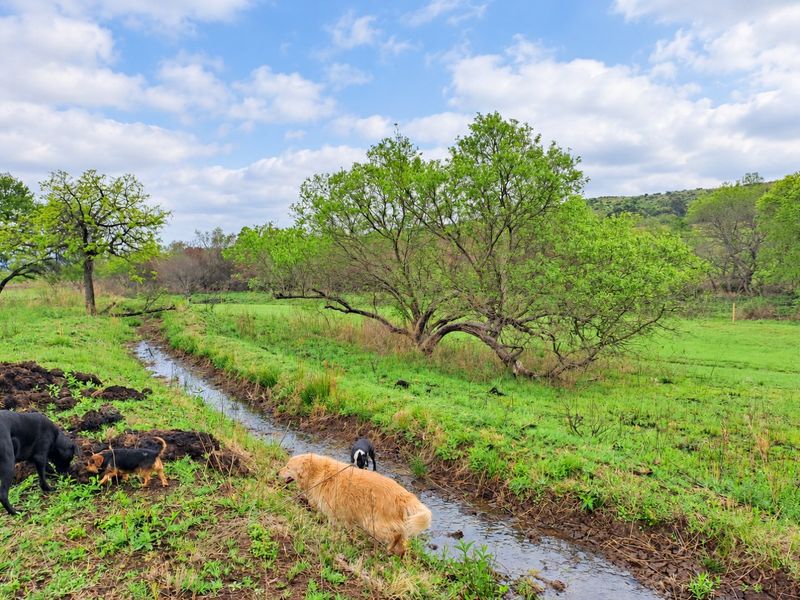 A scenic view of the farm property featuring a natural stream running through lush green pasture land with mature trees.