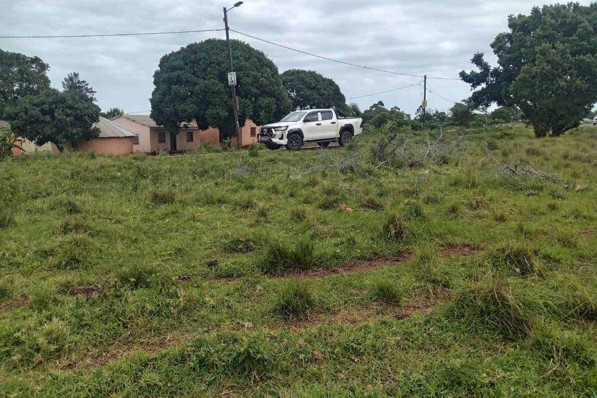 A view of a vacant residential plot featuring natural grass coverage, mature trees, and existing utility infrastructure.