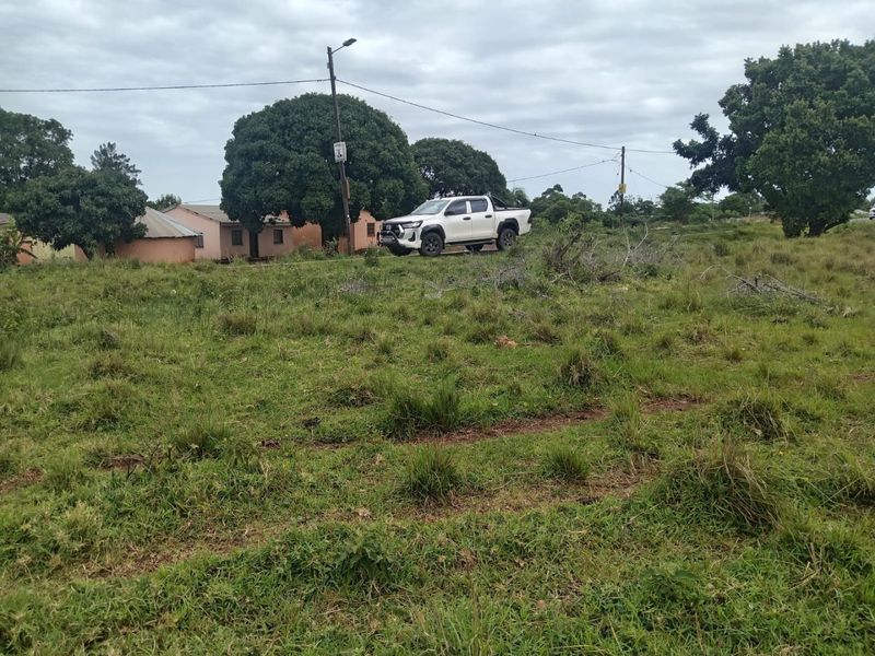 A view of a vacant residential plot featuring natural grass coverage, mature trees, and existing utility infrastructure.