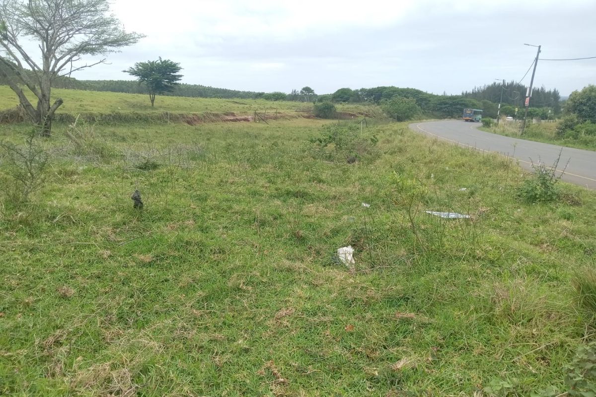 A view of the vacant residential land adjacent to a paved public road with surrounding greenery and utility infrastructure.