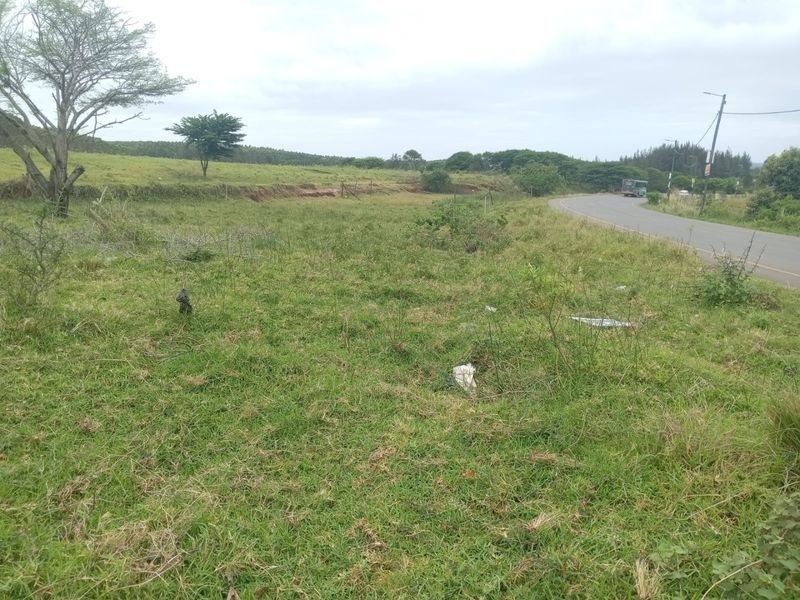 A view of the vacant residential land adjacent to a paved public road with surrounding greenery and utility infrastructure.