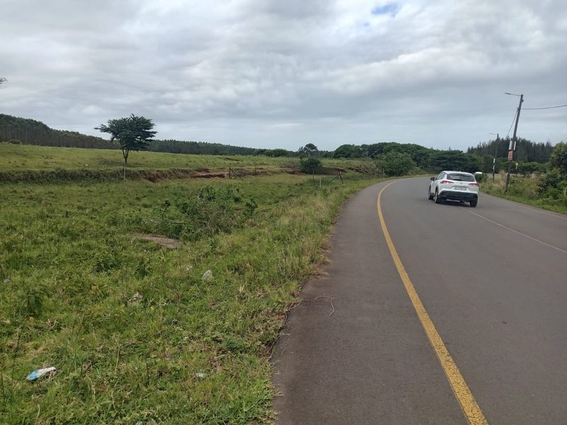 A view of the vacant residential land parcel adjacent to a paved public road with utility infrastructure visible.