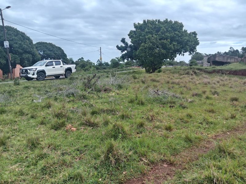A vacant residential plot featuring natural grass cover, mature trees, and existing utility infrastructure including power lines.