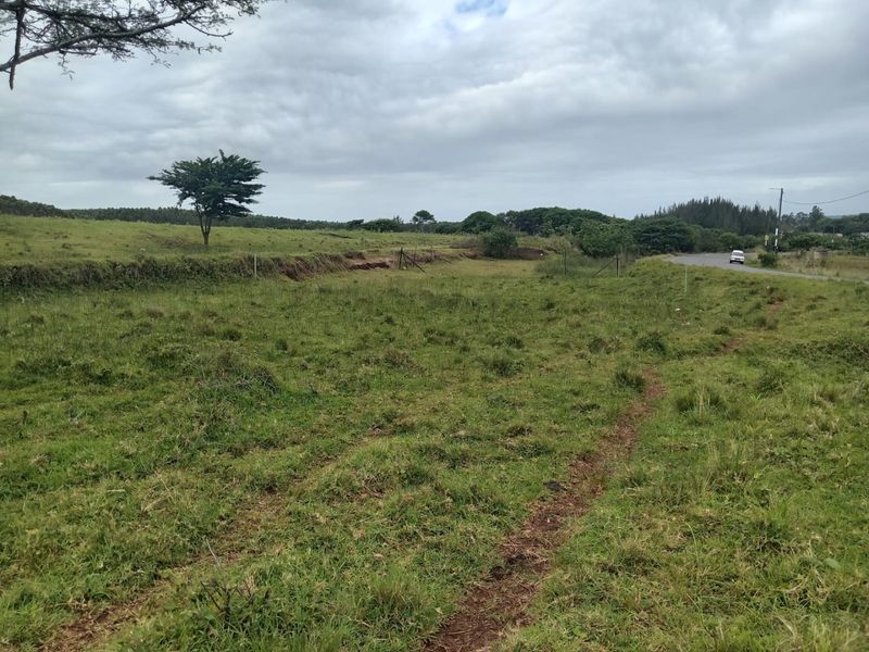 A view of the vacant residential land featuring open grassland, natural terrain, and existing wire fencing along the roadside boundary.