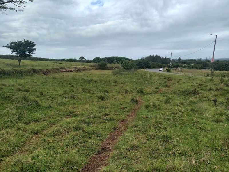 A view of a vacant residential plot adjacent to a public road, featuring open grassland, utility infrastructure, and perimeter fencing.