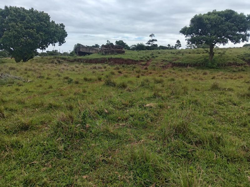 A view of a vacant residential plot featuring grassy terrain, mature trees, and visible soil erosion on the slope.