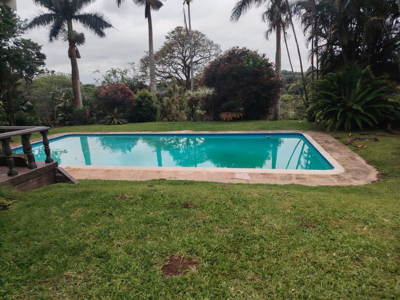 A private swimming pool set within a lush garden, featuring stone coping and an adjacent timber deck area.