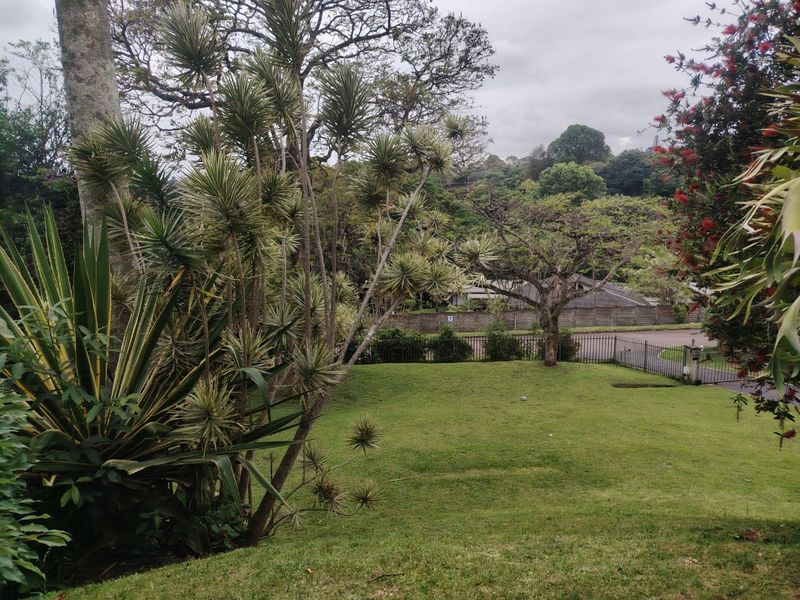 A well-maintained garden area featuring a lush lawn, mature trees, and secure metal perimeter fencing, offering a pleasant outdoor space.