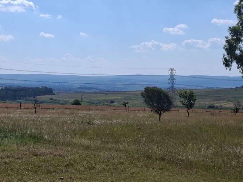 A wide-angle view of the vacant residential land featuring natural grass, mature trees, and distant landscape views with visible power infrastructure.