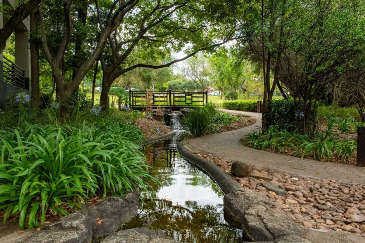 A beautifully landscaped garden featuring a stone-lined water feature, a wooden footbridge, and a paved walkway surrounded by mature trees and lush greenery.
