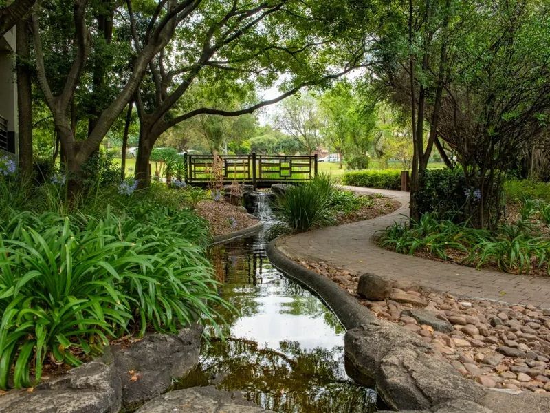 A beautifully landscaped garden featuring a stone-lined water feature, a wooden footbridge, and a paved walkway surrounded by mature trees and lush greenery.