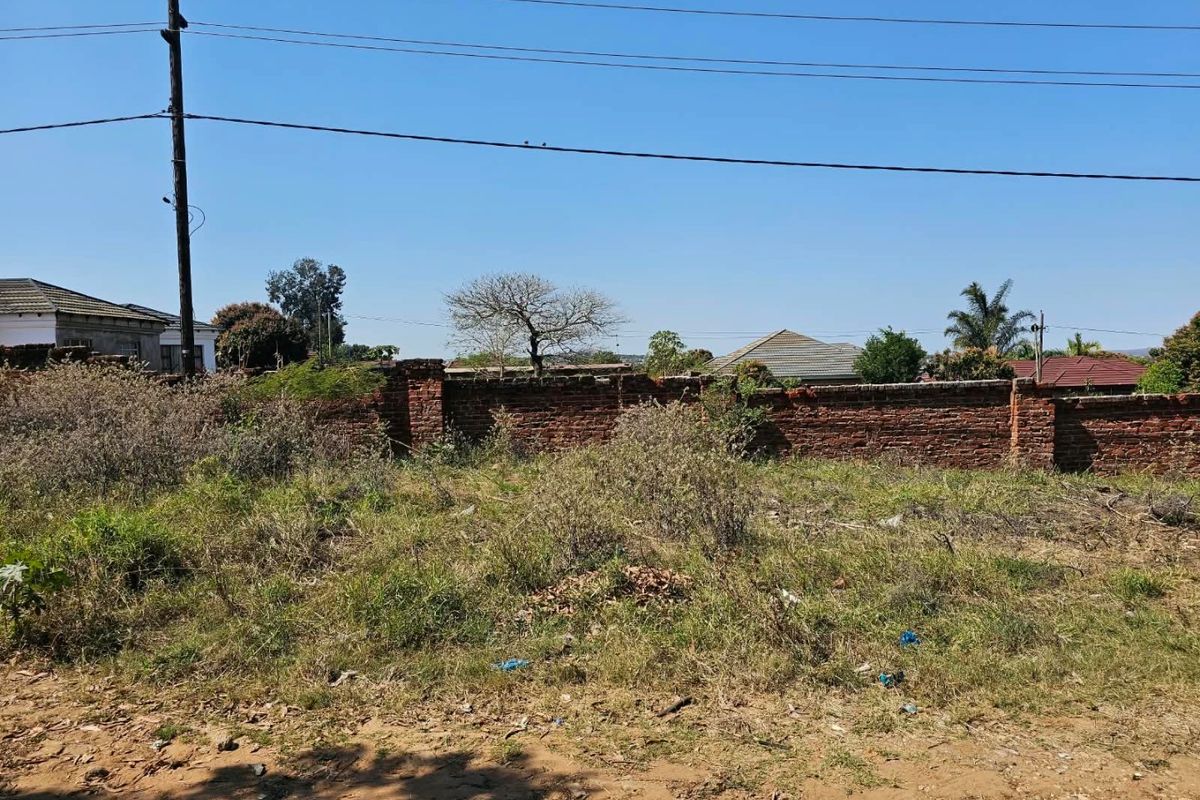 A vacant residential plot featuring an existing brick boundary wall and utility pole, currently covered in overgrown vegetation.