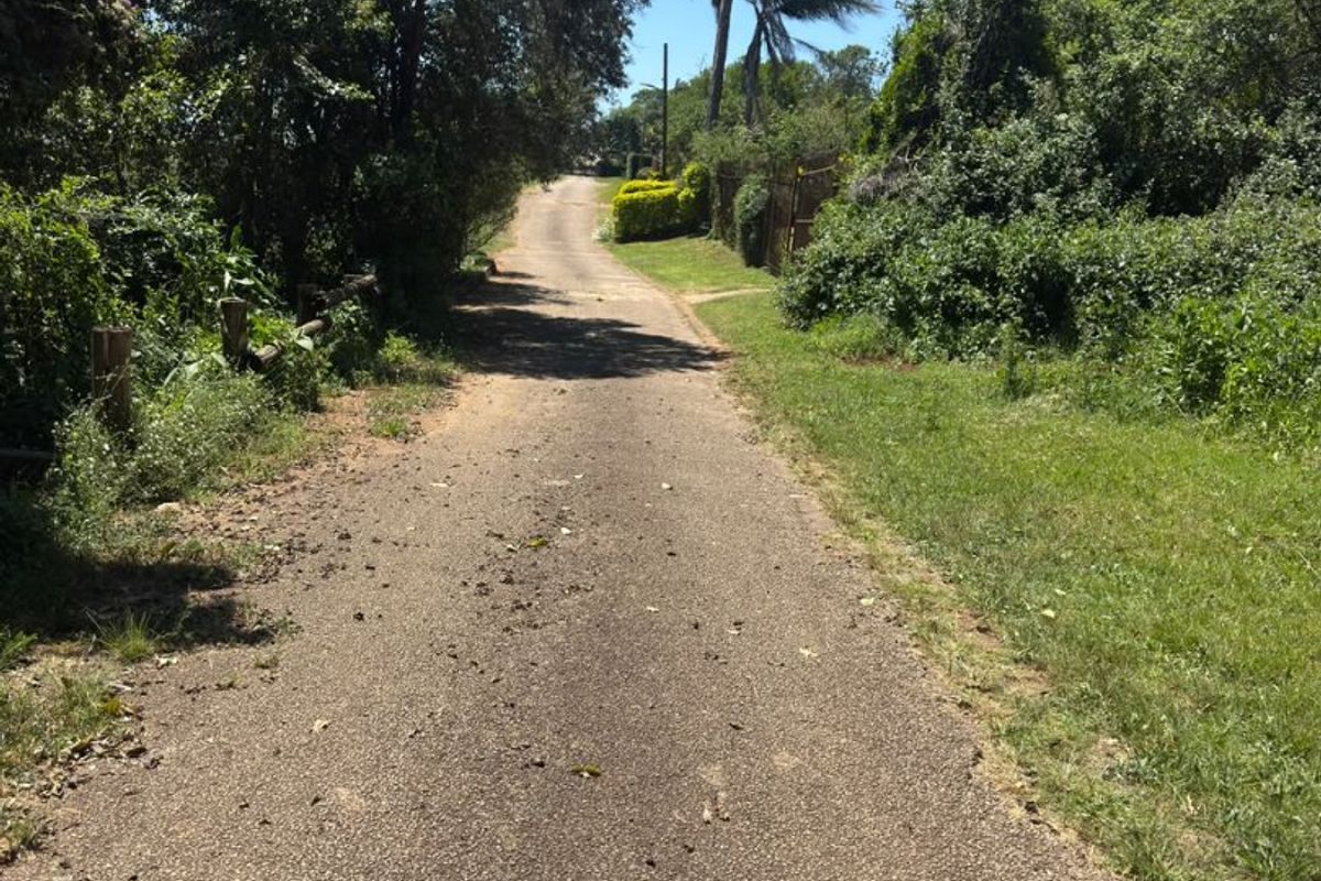 A view of the asphalt access road leading to the residential property, surrounded by mature trees and natural vegetation.