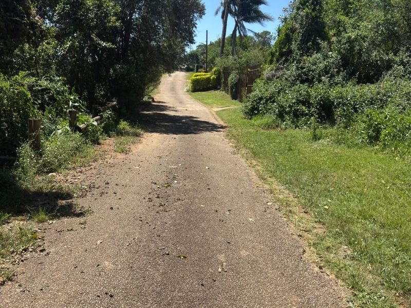 A view of the asphalt access road leading to the residential property, surrounded by mature trees and natural vegetation.