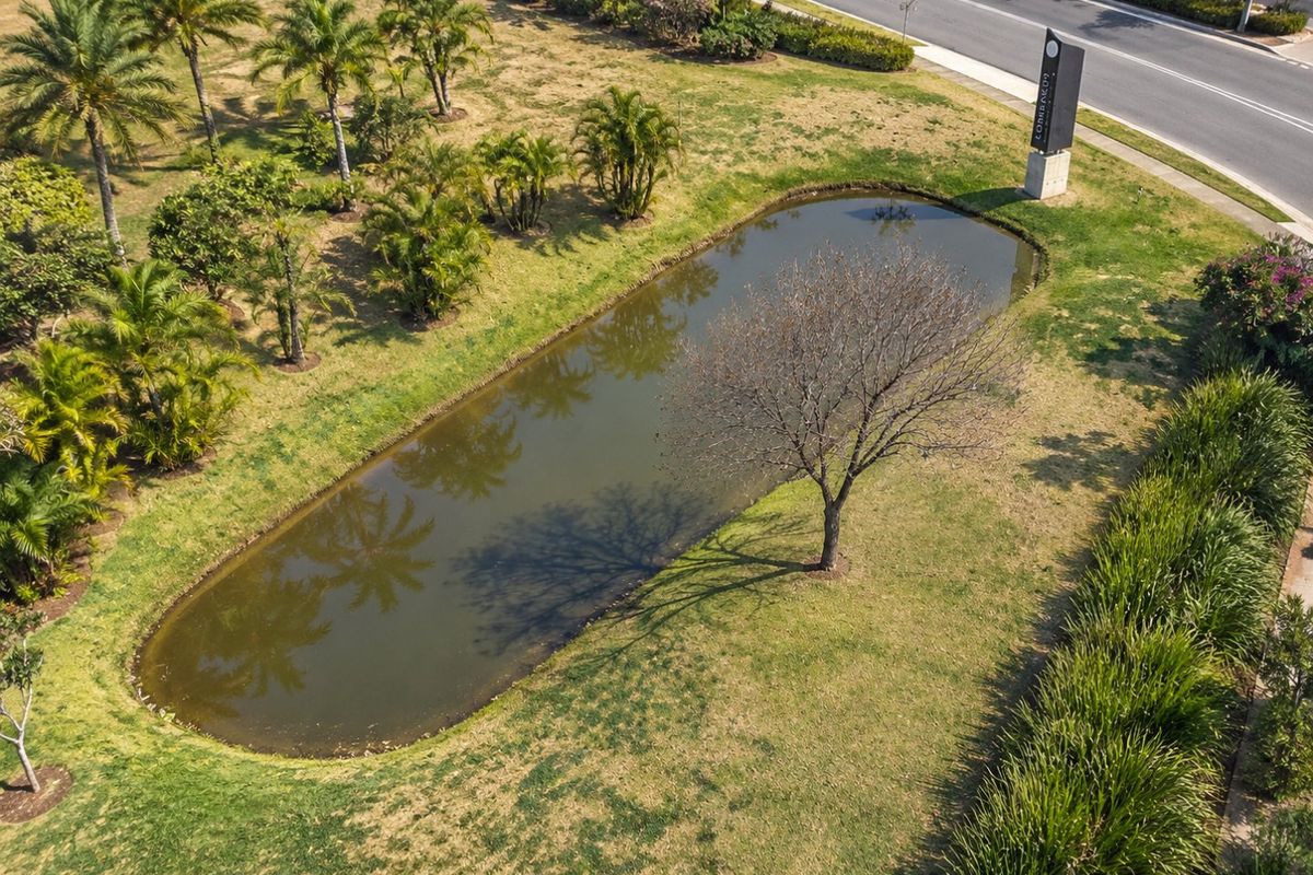 An aerial view of a landscaped garden area featuring an ornamental pond, mature palm trees, and adjacent road access.