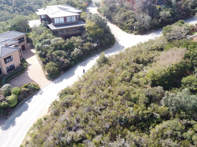 Aerial view of a vacant residential plot surrounded by established vegetation and adjacent to a paved road in a residential estate.
