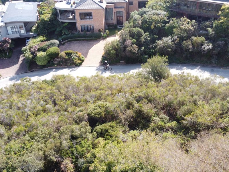 An aerial view of a vacant residential plot covered in dense indigenous vegetation, situated adjacent to a paved street and established residential properties.