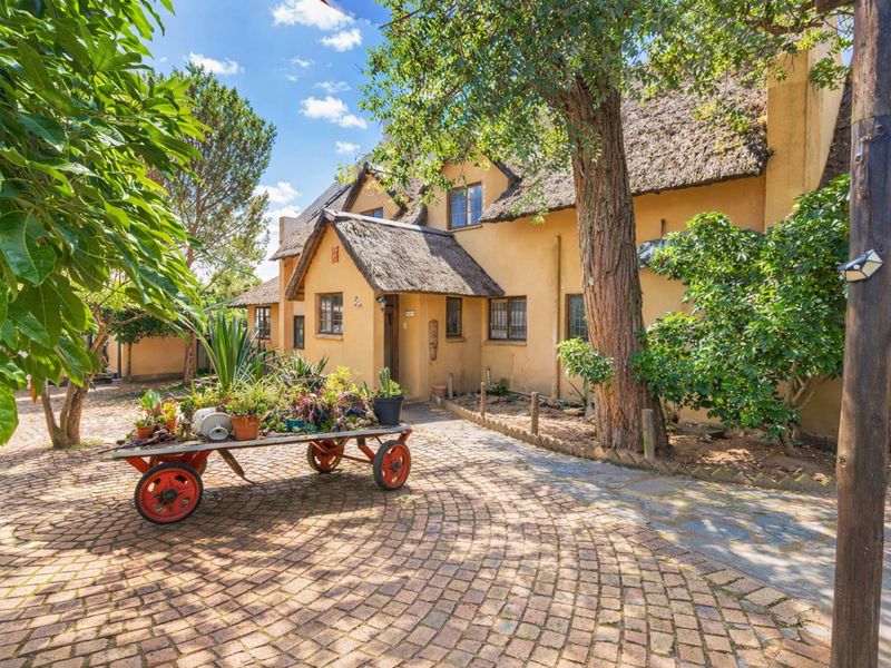 Front elevation of a charming cottage-style house featuring a traditional thatched roof, stucco facade, and a circular cobblestone driveway.