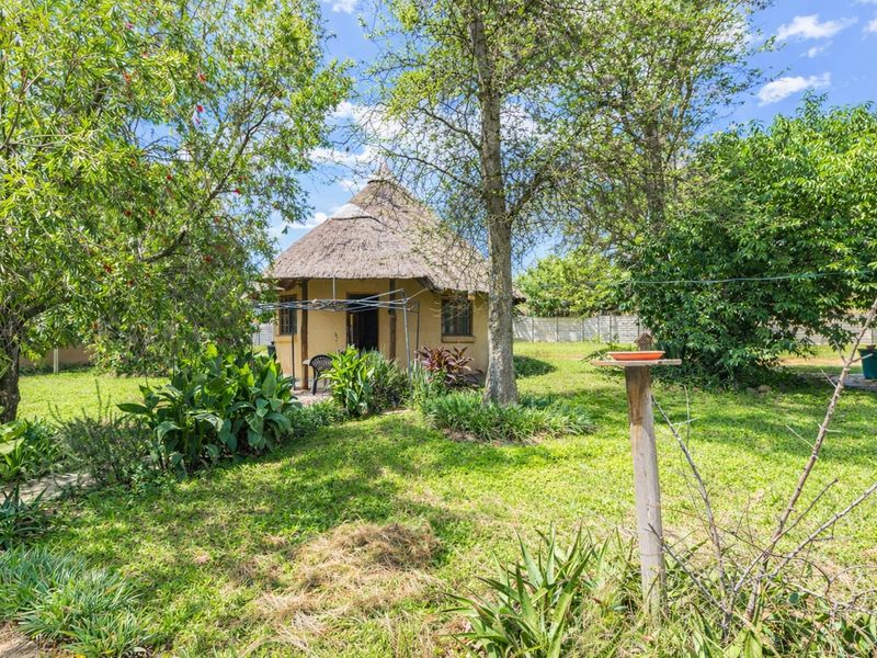 A view of a garden featuring a small structure with a traditional thatch roof surrounded by mature trees and established greenery.