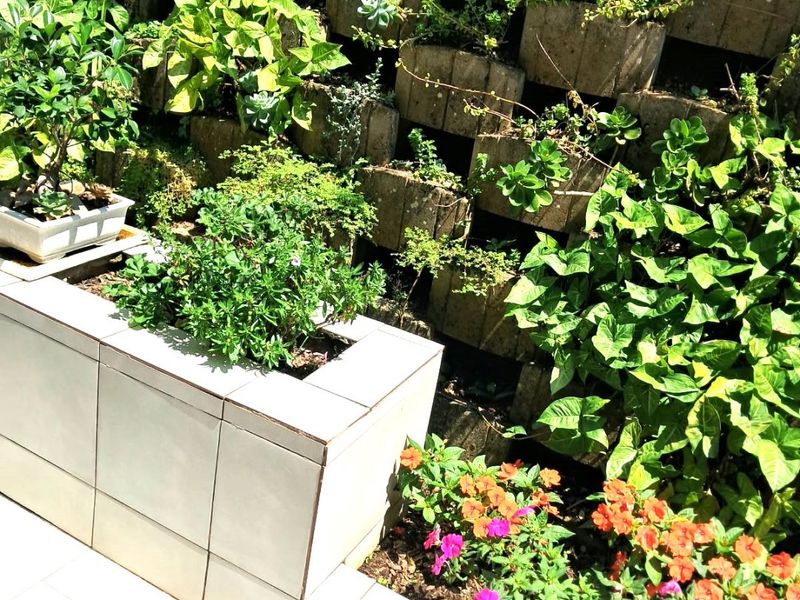 A landscaped garden area featuring a tiered concrete retaining wall, tiled planter boxes, and paved patio flooring with established greenery and flowering plants.