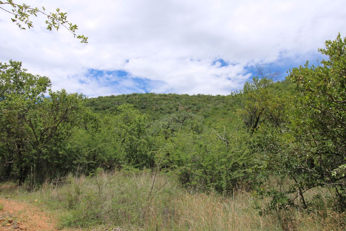 A scenic view of the natural landscape featuring dense native vegetation and a sloped hillside under a cloudy sky.