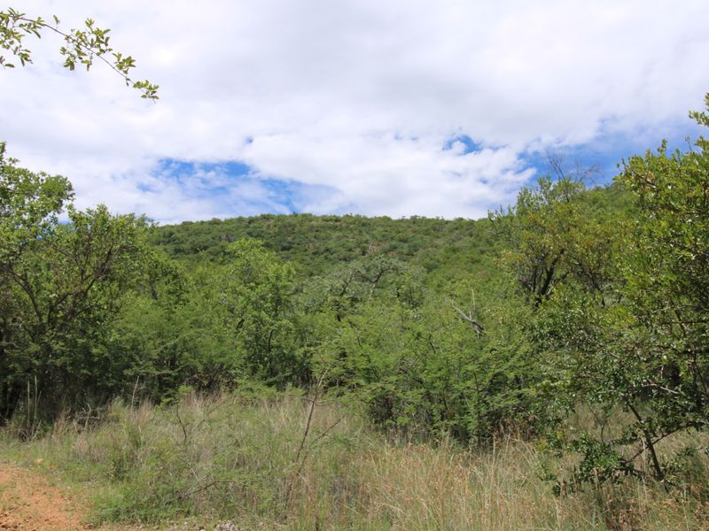 A scenic view of the natural landscape featuring dense native vegetation and a sloped hillside under a cloudy sky.