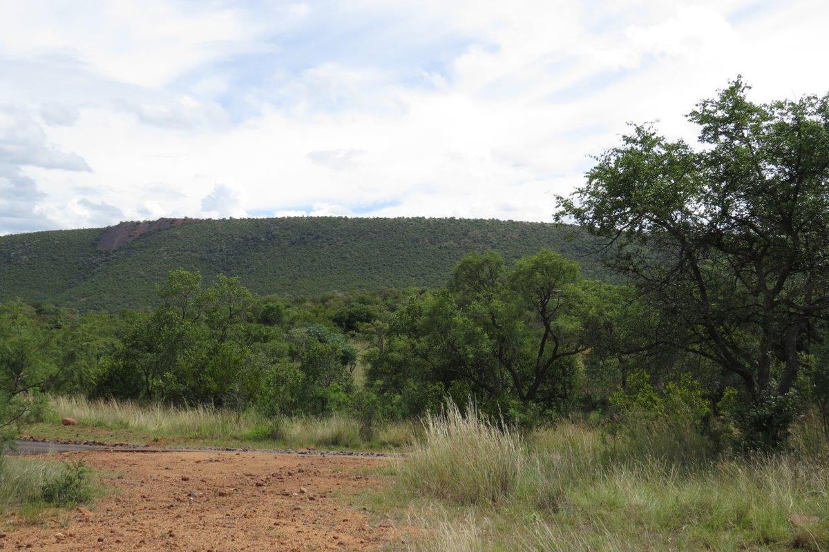 A scenic view of the natural landscape featuring rolling hills and native vegetation on the vacant residential property.