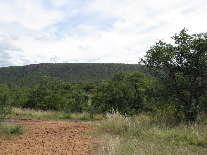 A scenic view of the natural landscape featuring rolling hills and native vegetation on the vacant residential property.