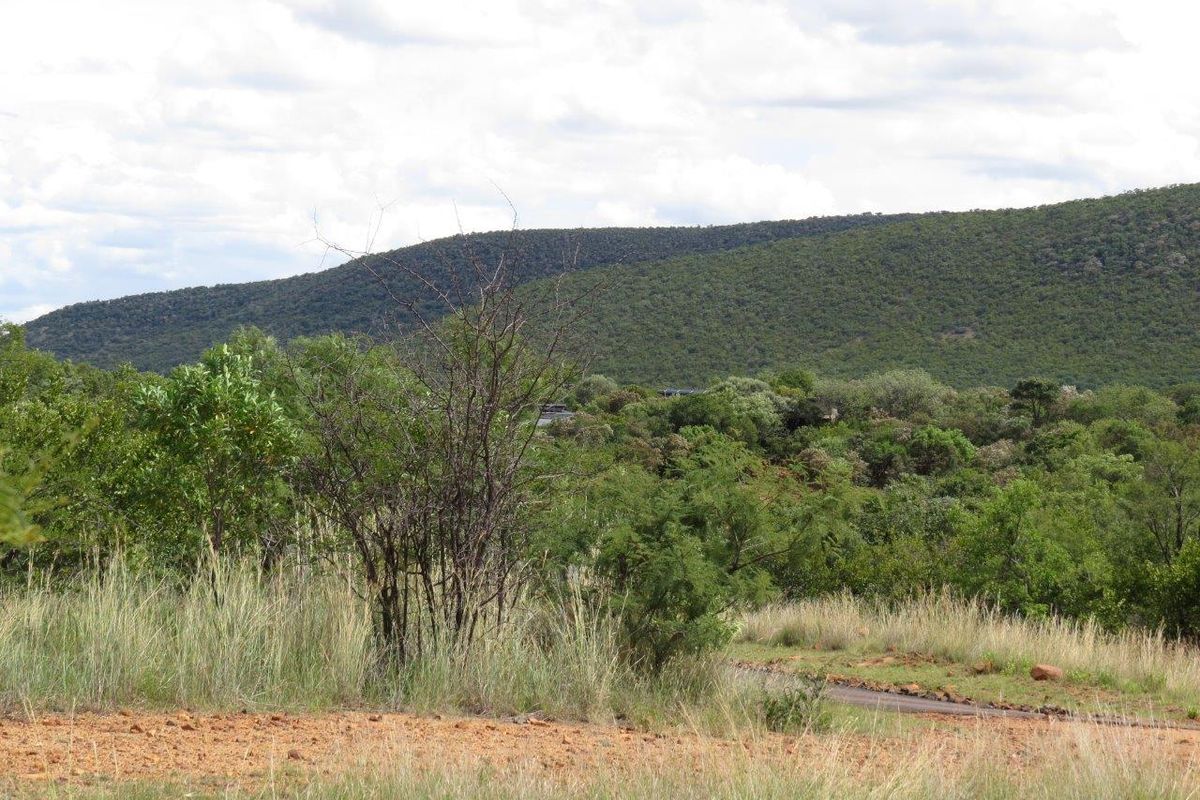 A scenic view of the natural landscape featuring lush green hills and native vegetation on the residential property.