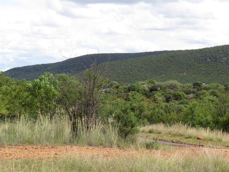 A scenic view of the natural landscape featuring lush green hills and native vegetation on the residential property.