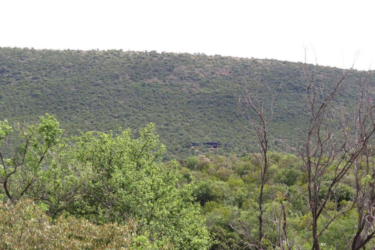A scenic view of the natural landscape and surrounding vegetation on the residential land.