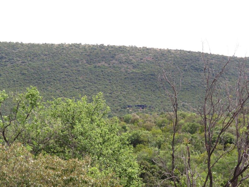 A scenic view of the natural landscape and surrounding vegetation on the residential land.