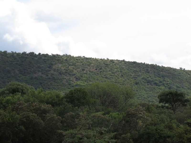 A scenic view of a lush, green hillside covered in natural vegetation under a cloudy sky.