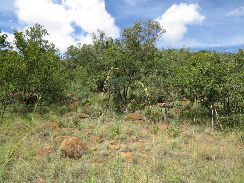 A view of the natural, undeveloped residential land featuring indigenous trees, rocky outcrops, and native grasses under a clear sky.