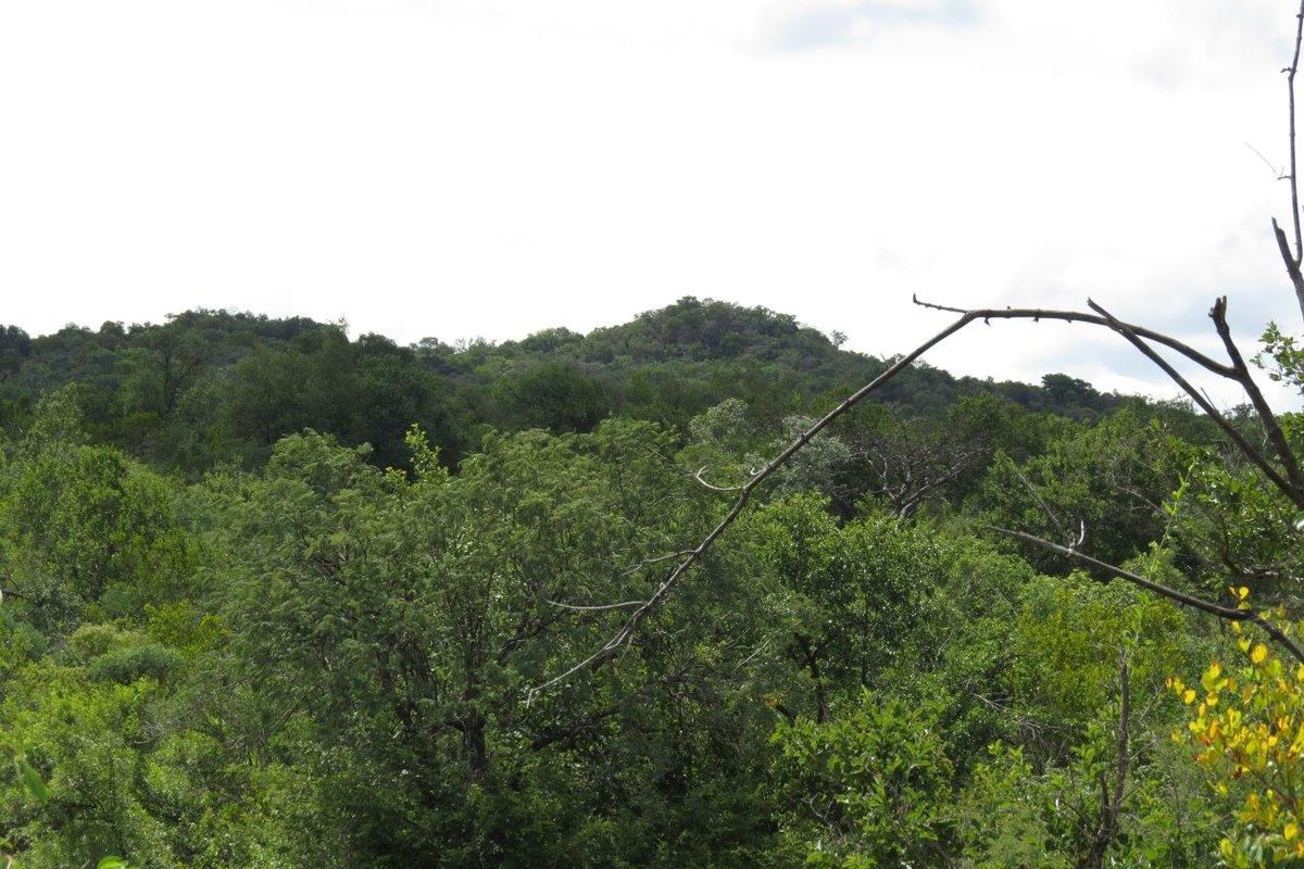 A scenic view of the lush, green natural landscape and rolling hills surrounding the property.