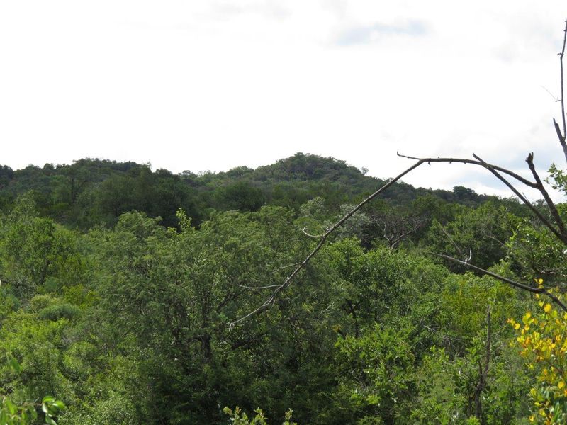 A scenic view of the lush, green natural landscape and rolling hills surrounding the property.