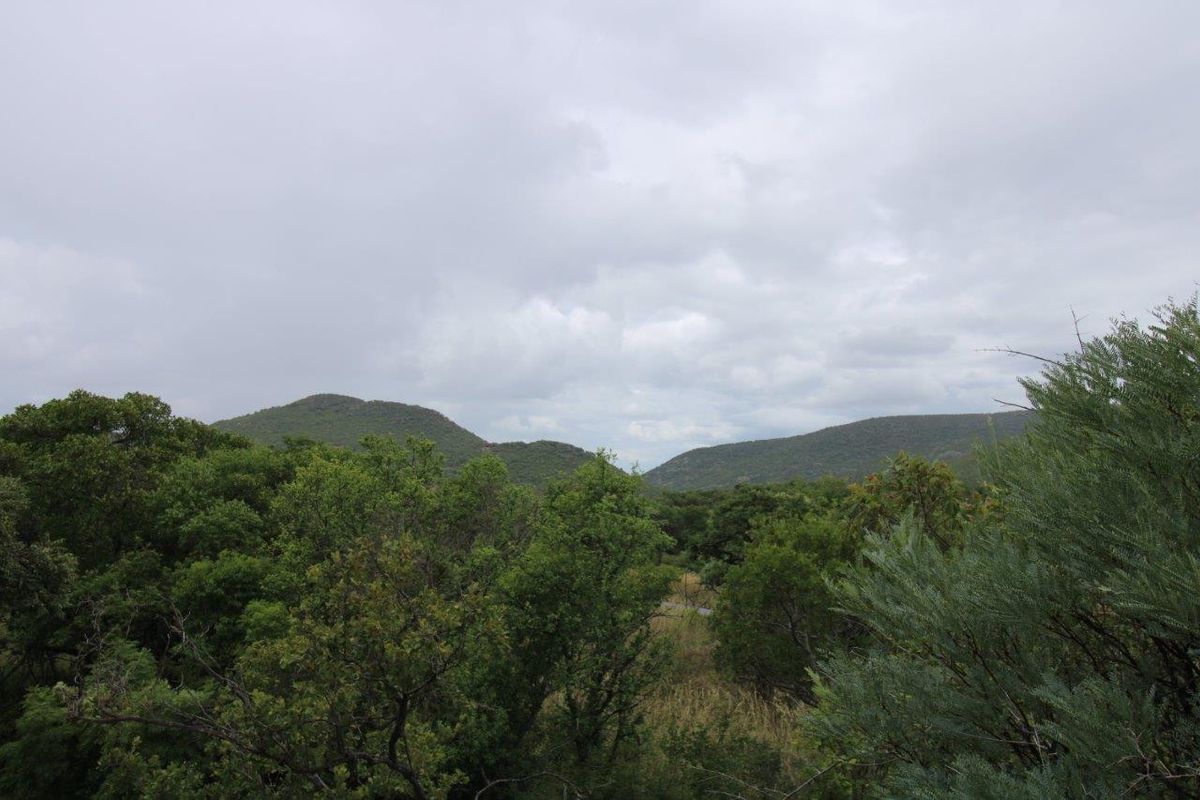 A scenic view of the surrounding natural landscape, featuring rolling hills and dense indigenous vegetation.