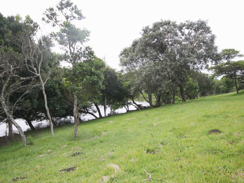 A scenic view of a sloped residential plot featuring mature trees and direct access to a water body.