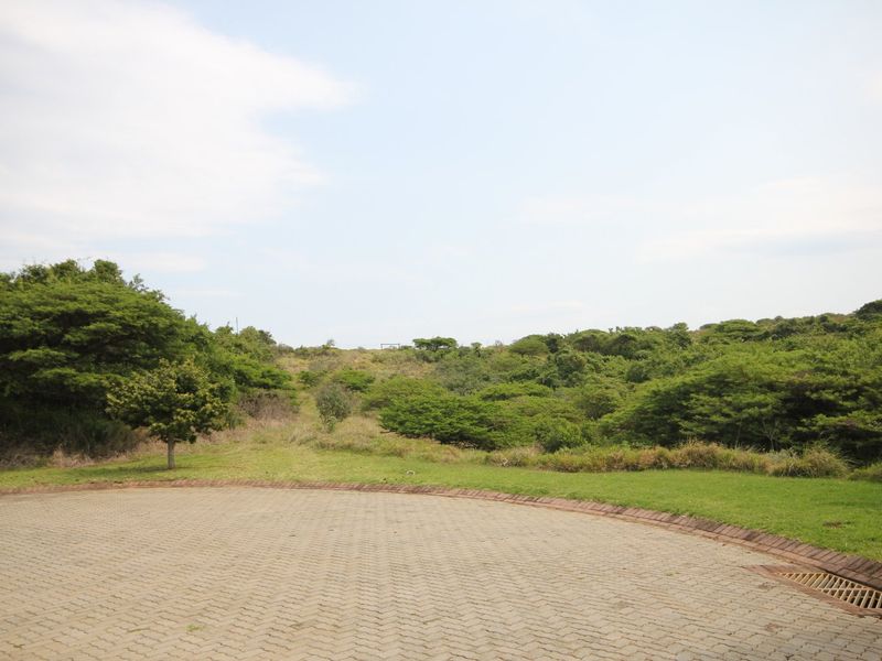 A view of a paved driveway area leading onto a vacant residential plot with established greenery and natural landscape.
