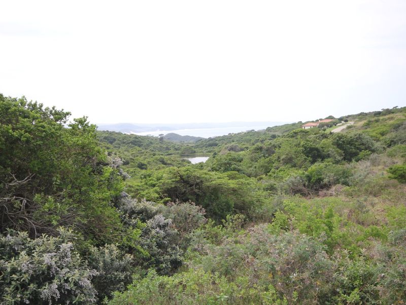 A scenic view of the natural coastal landscape and lush vegetation surrounding the vacant residential land.