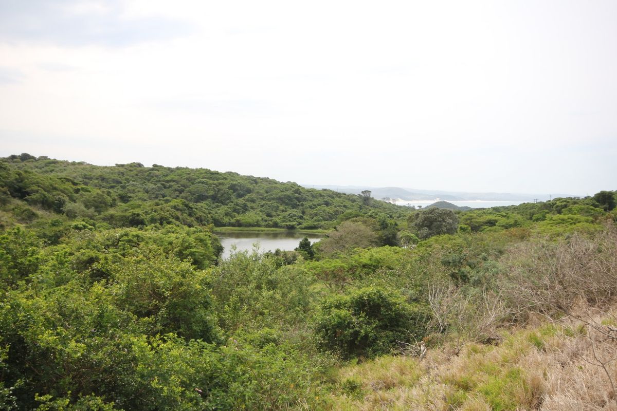 A scenic landscape view featuring lush natural vegetation and a tranquil water body, showcasing the natural beauty of the vacant residential land.
