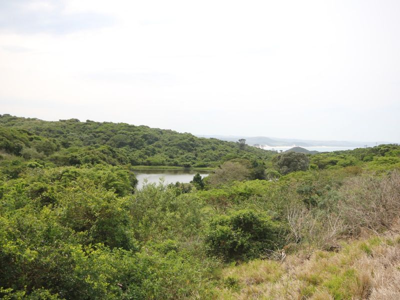 A scenic landscape view featuring lush natural vegetation and a tranquil water body, showcasing the natural beauty of the vacant residential land.