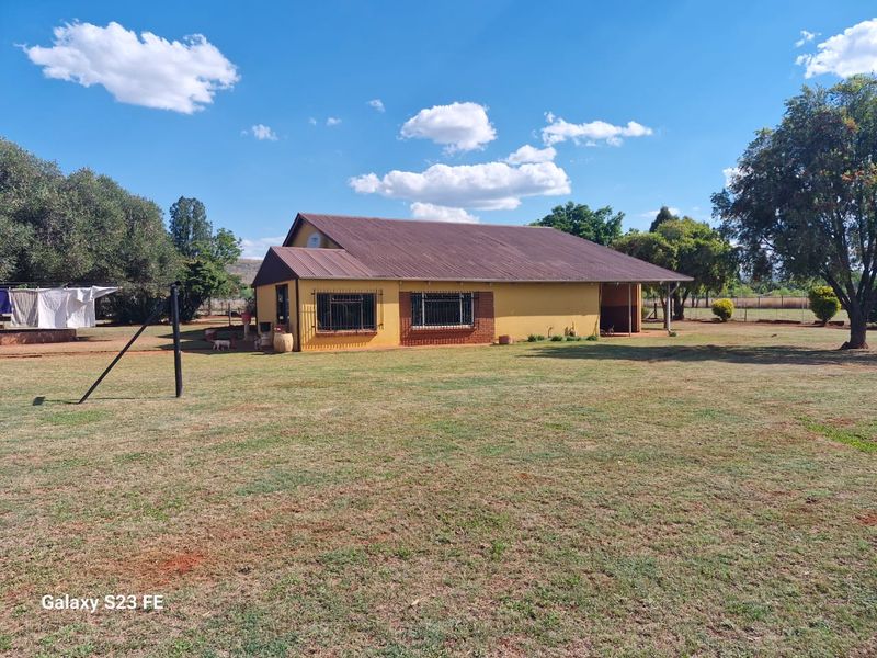 A view of the rear elevation of a farm-style house featuring a metal roof, brick accents, and a covered patio area set on a large lawn.
