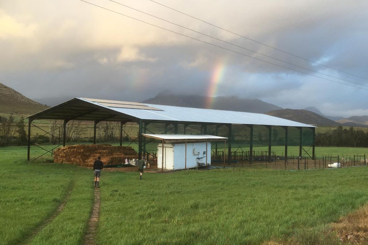 A large open-sided steel frame barn structure situated on a rural farm property with surrounding pasture land.